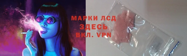 apvp Аркадак