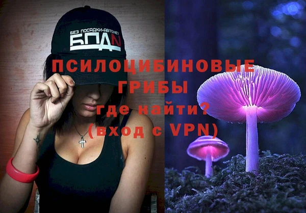 герыч Козловка