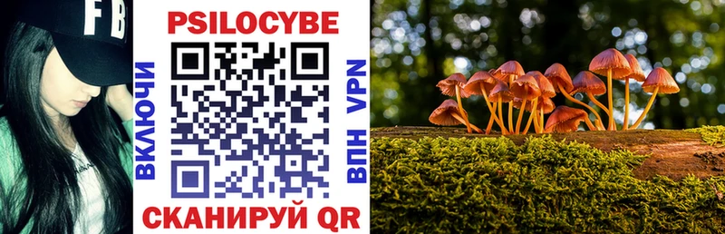 Купить  Анапа  Псилоцибиновые грибы мицелий 